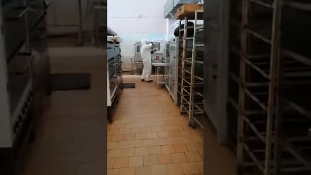 Обработка от тараканов смотреть онлайн