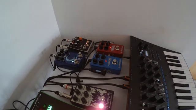 ELECTRIC DREAMS-MINILOGUE XD,KORG MONOLOGUE,TB3,TR 8S,WALRUS SLO,LEM,TC ELECTRONIC PEDALS,AFTERNEAT смотреть онлайн