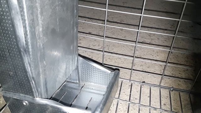 Кормушки для начинающих кролиководов l КРОЛИКИ l Просто Дёшево Надёжно смотреть онлайн
