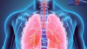 Мелисса: Вся Польза и Вред. Правда о Применение в народной медицине, косметологии и хозяйстве