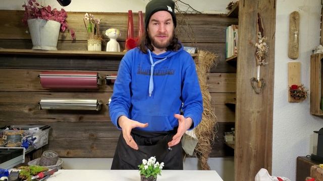 Viola Cornuta Pflegetipps zu den Stiefmütterchen - Inklusive einer Deko Idee zum selber machen смотреть онлайн