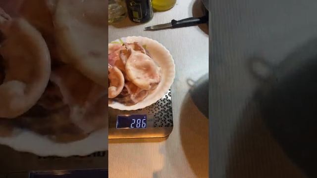 Кальмары бухта изобилия смотреть онлайн