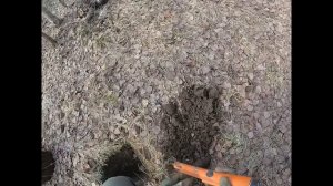 Первые впечатления от EQUINOX 600 после X-terra 705