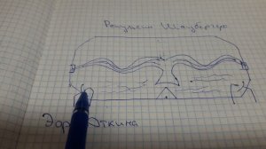 СЕКРЕТ Виктора Шаубергера !!!!