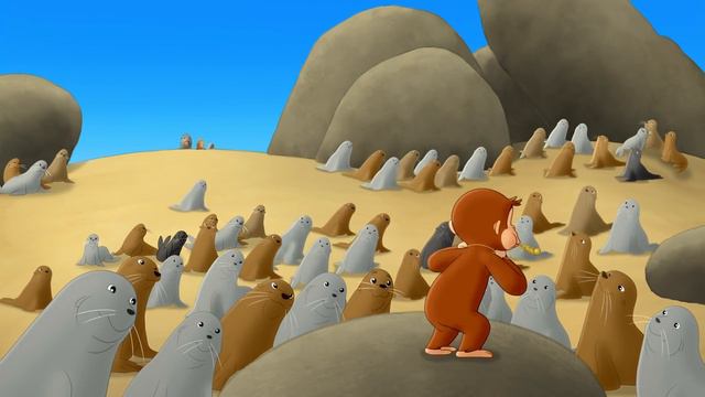 Rescue On Seal Island! | CURIOUS GEORGE CAPE AHOY