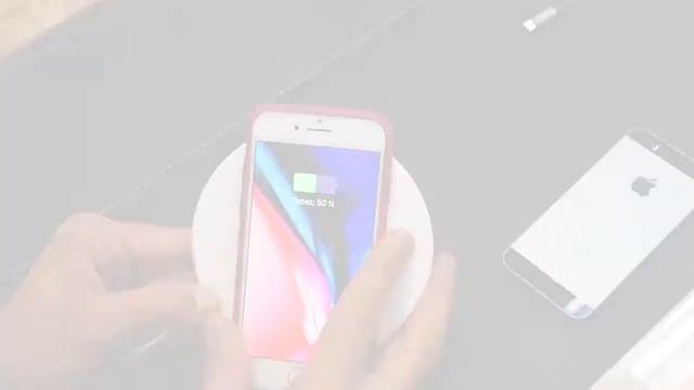 Ринговая Жизнь