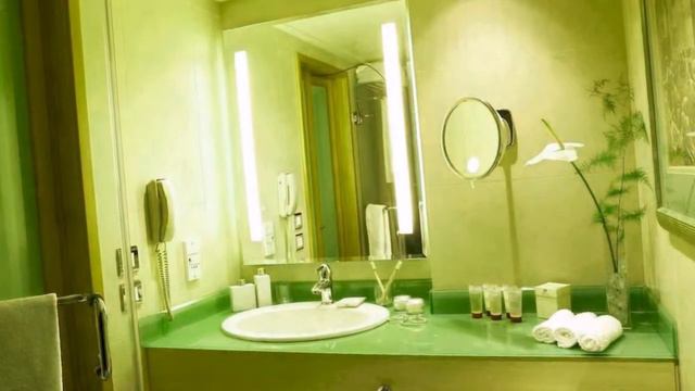 Sofitel Cairo El Gezirah 5* Каир, Египет смотреть онлайн