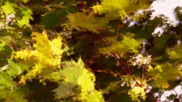 Oblivion Astor Piazzolla, performed by Tatyana and Konstantin смотреть онлайн