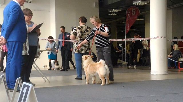 Фэнтези Стайл Ямайка - зав. и влад. Шипуля Ирена В смотреть онлайн