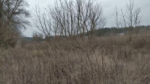 6 января праздник СОЧЕЛЬНИК . КОЛЯДКИ . народные традиции