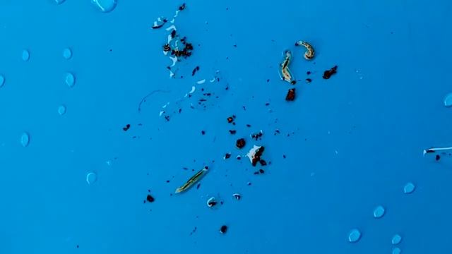 Строительные Перспективы