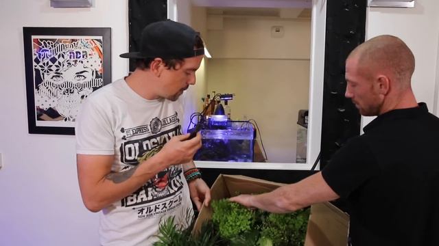 ON INSTALLE UN MUR VÉGÉTAL ( QUI DÉCHIRE) DANS LE STUDIO - TOOPET ! смотреть онлайн