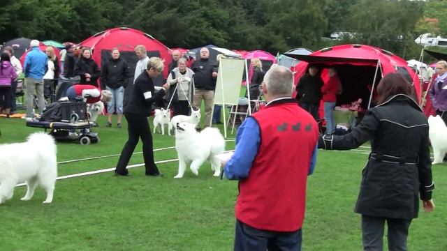 International show in Bjerringbro september 2011 - open class males смотреть онлайн