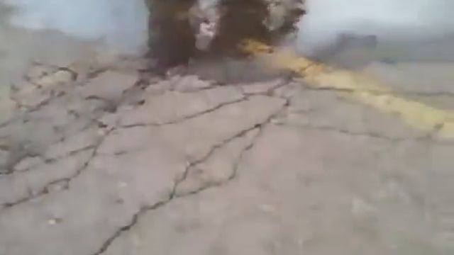 #Ё-МОЁ Пацан за $1 проверил прочность льда в луже смотреть онлайн