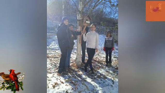Внеклассное мероприятие "День птиц" смотреть онлайн