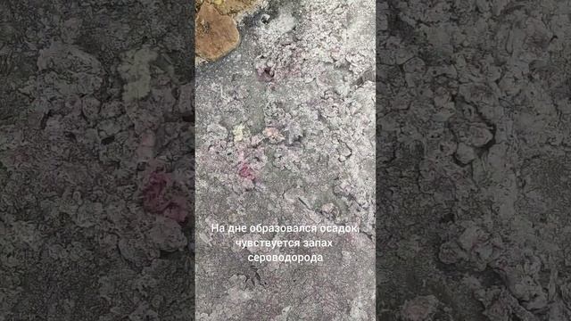 ? Наткнулись на необычное место во время путешествия. Напомнило источник "мёртвой воды" смотреть онлайн