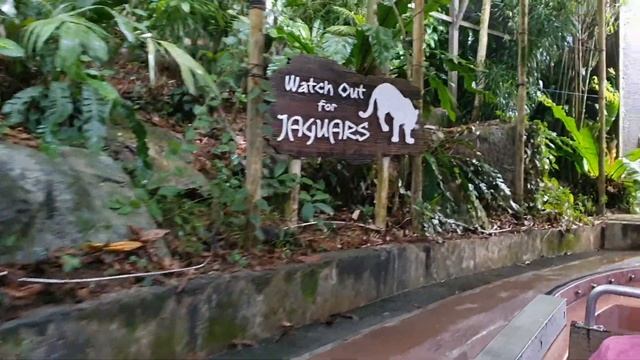 Amazon River Safari Quest Singapore смотреть онлайн