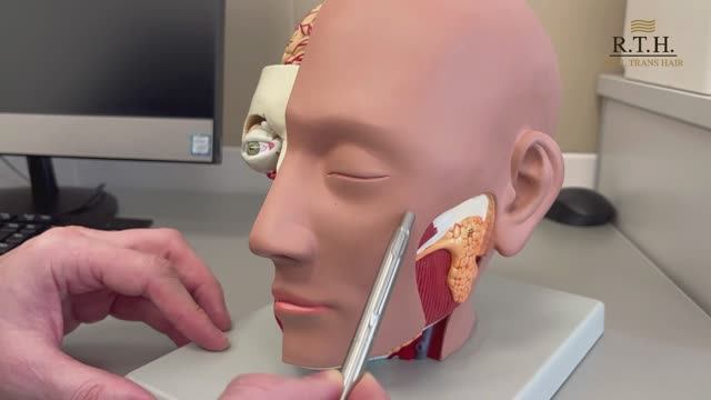 Малярные мешки. Хирургические методы борьбы. Рассказывает пластический хирург Николай Константинов.