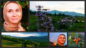 Друг отвез есть торт на горе. 04.08.2024