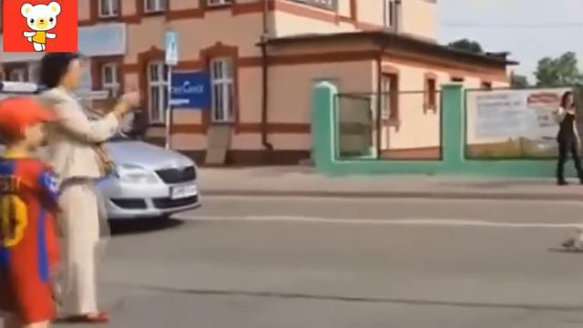 Смешные и умные животные Приколы видео Смех да и только смотреть онлайн