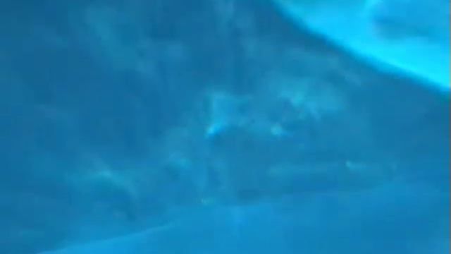 DUBAI 2010 Большой аквариум в торговом центре. смотреть онлайн