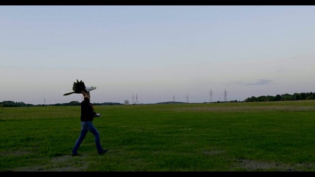 RC Eagle Part3- First test and CRASH смотреть онлайн