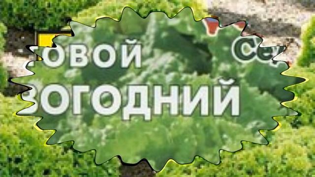 Стройка Практик