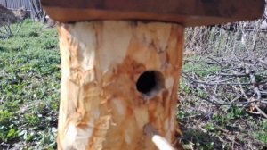 Скворечник дуплянка.