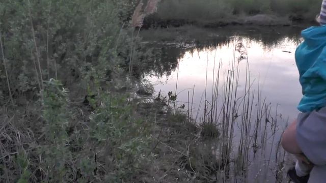 #2.ВЛОГ. На даче. Жизнь за городом. День с детьми погодками. смотреть онлайн