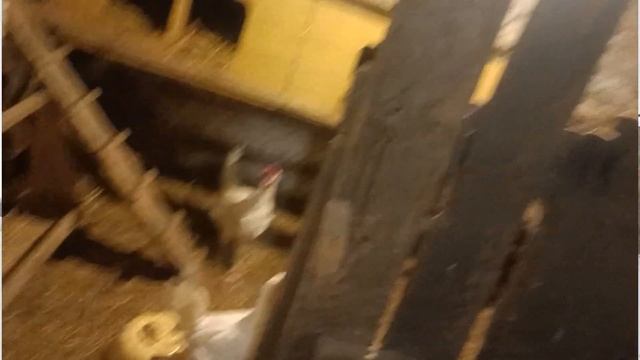 Ищу дом в деревне до 5 миллионов рублей! Не нашел ничего! смотреть онлайн