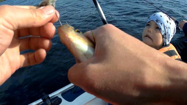 открытие рыболовного сезона 2020 на открытой воде! таких окуней мы тут еще не ловили! смотреть онлайн