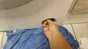 Как почистить фильтр у стиральной машины Bosch за 3 минуты