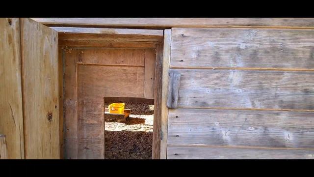 Куриные постройки!!! Обновка у курятины или ещё один день на ДАЧЕ!!! Россия смотреть онлайн