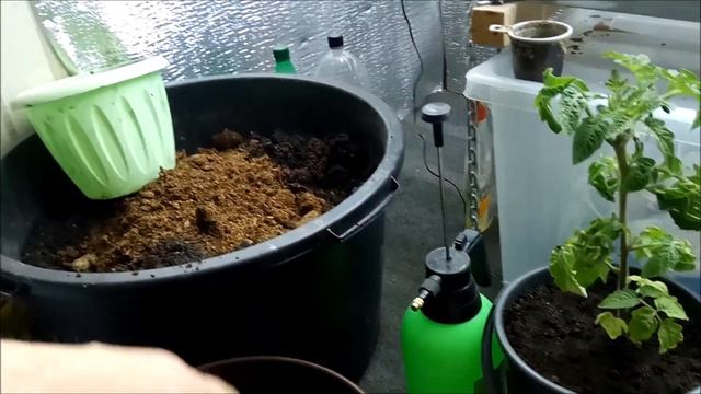 Клубника над землёй в гараже смотреть онлайн