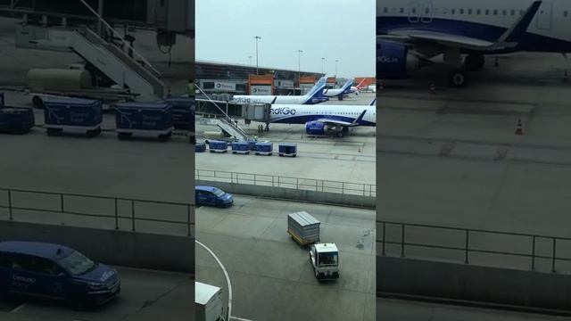 Live: IGI AIRPORT NEW DELHI India ?? смотреть онлайн