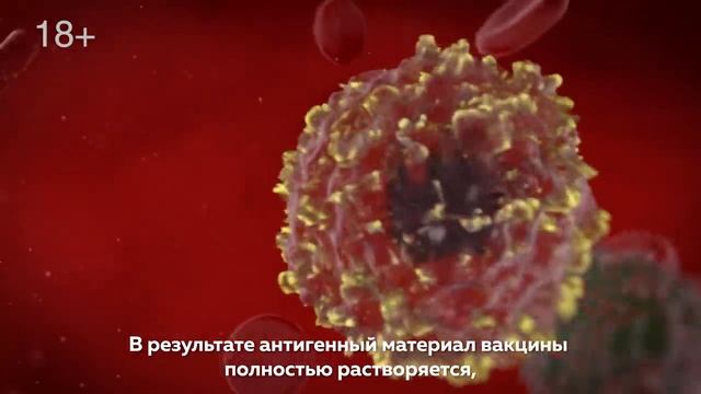 Уборка - ваш стиль жизни