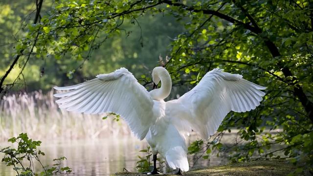 Сил больше нет. Я не могу больше жить с деревенщиной! - муж собрал вещи и ушёл. А через...