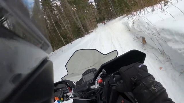 2020 Polaris Indy xc 137 850 test drive смотреть онлайн