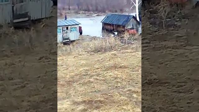 Алтайский край . село Огни .Усть-Калманский район .Потоп. смотреть онлайн