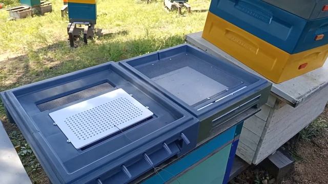 ПЫЛЬЦЕСБОРНИК МЕДВЕДЬ. ПОЛНЫЙ ОБЗОР. смотреть онлайн