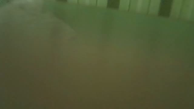 Видео где телефон поднимается на второй этаж (Видео моё) смотреть онлайн