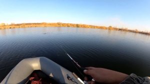 ЗАКРЫТИЕ МИКРОДЖИГА! CRAZY FISH ASPEN STAKE