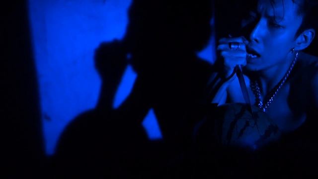 Vicious & Spungen смотреть онлайн