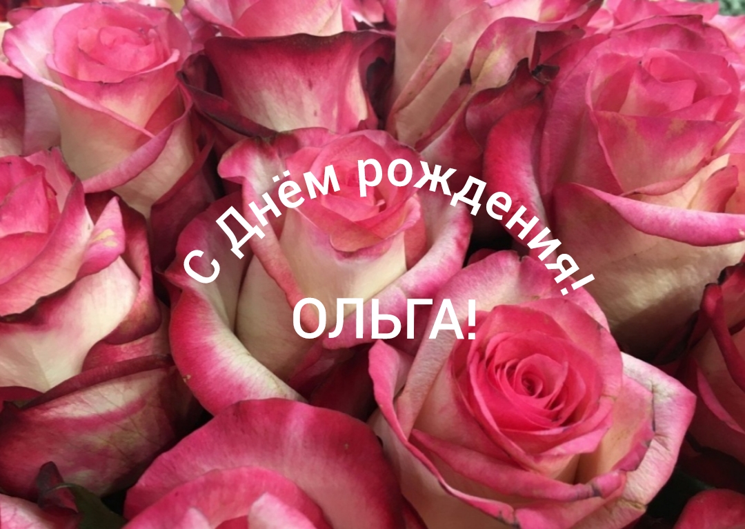 С Днём рождения, Ольга! смотреть онлайн