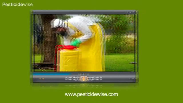 Pesticidewise: spraying pesticides laterally using a knapsack sprayer смотреть онлайн