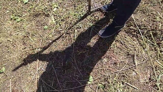 Как мы нашли родник в своем саду.