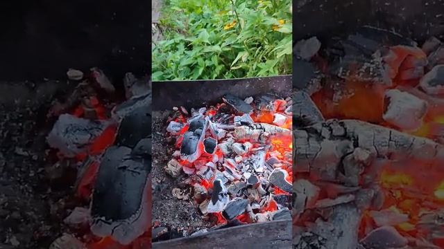 шашлык из медвежатины??? смотреть онлайн