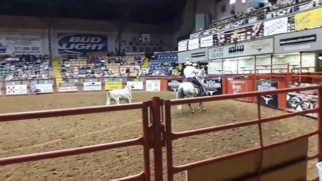 FORT WORTH RODEO BULL ESCAPES смотреть онлайн