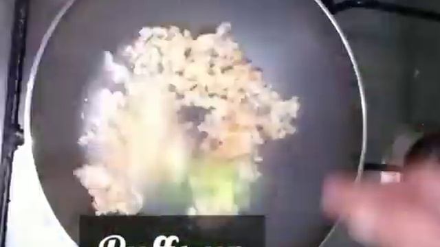 dry fruits laddu/dry fruits ladoo recipe/no sugar dryfruits laddu/dry fruits laddu in pai's kitchen смотреть онлайн