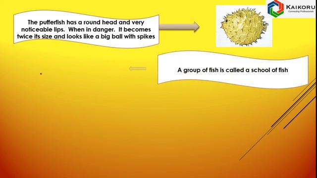 WOW - World Within Worlds - Class 2- General Knowledge-2-Life Under Water-Sea animals -With Answers смотреть онлайн
